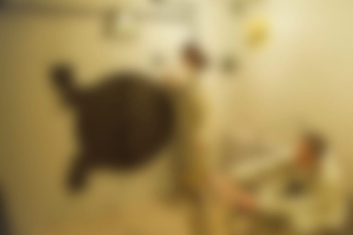 Фотография квеста Зомби-убежище от компании Выход есть! (Фото 1)