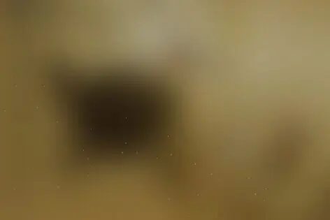 Квест «Зомби-убежище» от Выход есть!